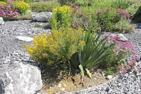 ms-gartenservice-biel-benken-neugestaltung-aussenanlage-06